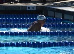 Senior Andrea Reigel and the UCLA swim team are revving up their preparations as the postseason approaches.