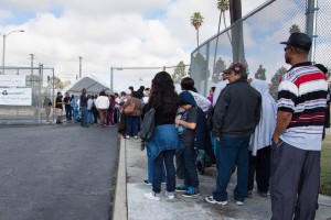 Inglewood residents wait in line to receive fruit trees from Treepeople’s distribution event.