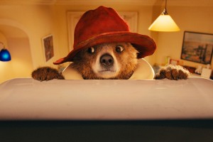 web.ae.1.7.wmp.paddington.jpg