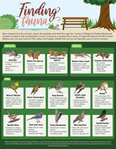 fauna.of.ucla 11-27-18_Artboard 1.png