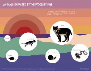 2.26.news.woolseyfire_3b.png